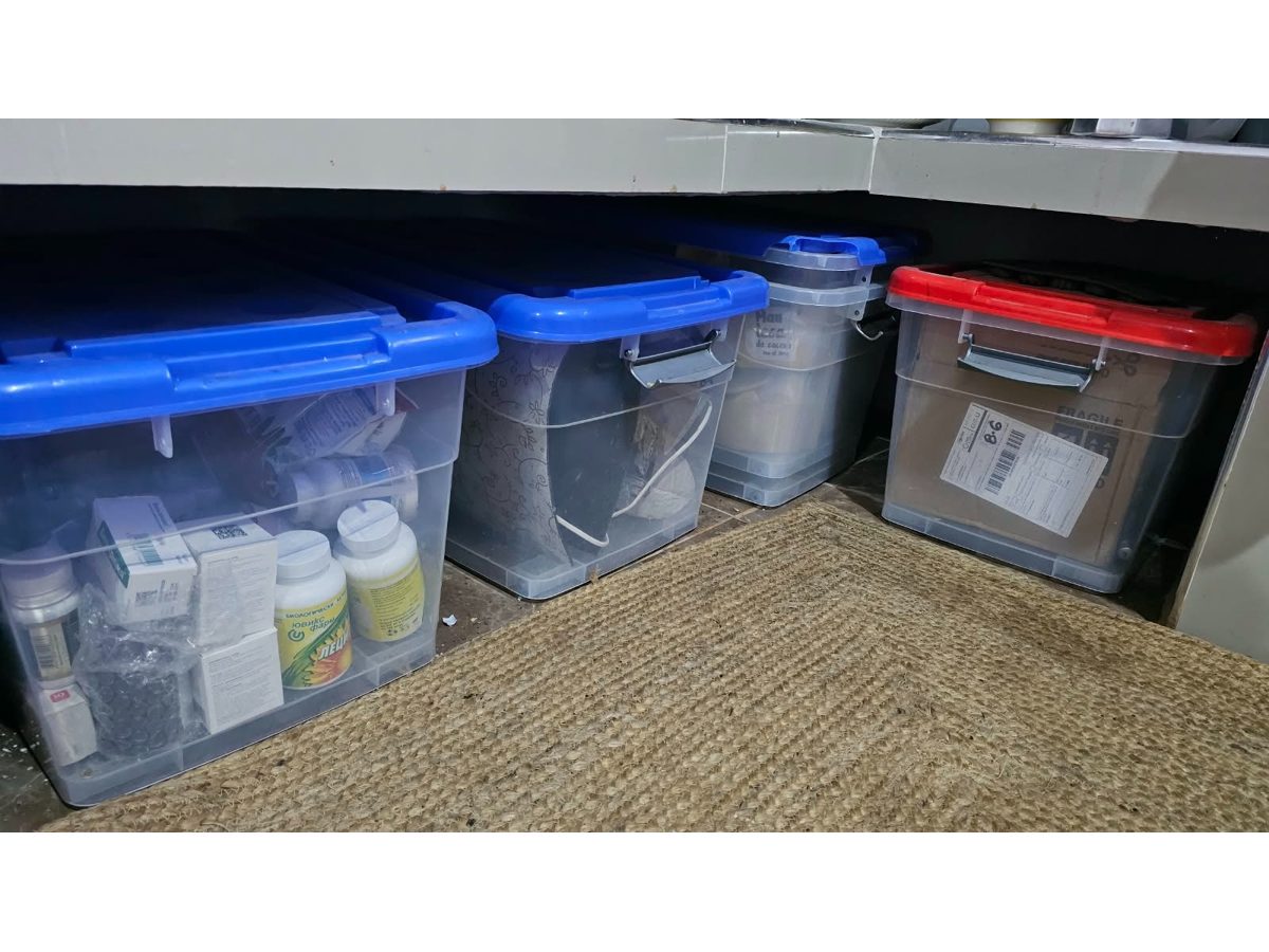 Cajas organizadoras con tapa y ruedas (hay 5)
